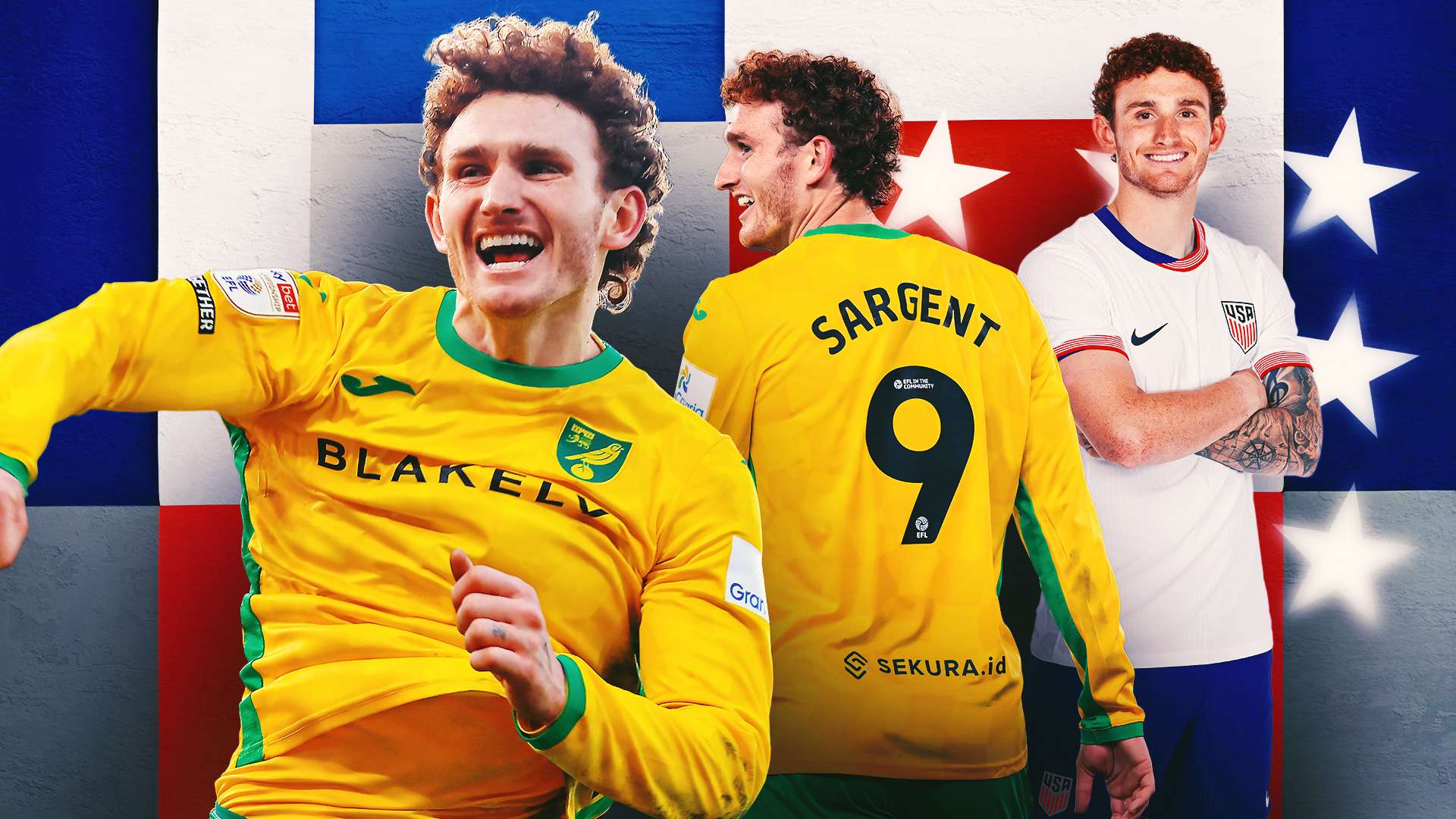 固定擁有者 固定擁有者