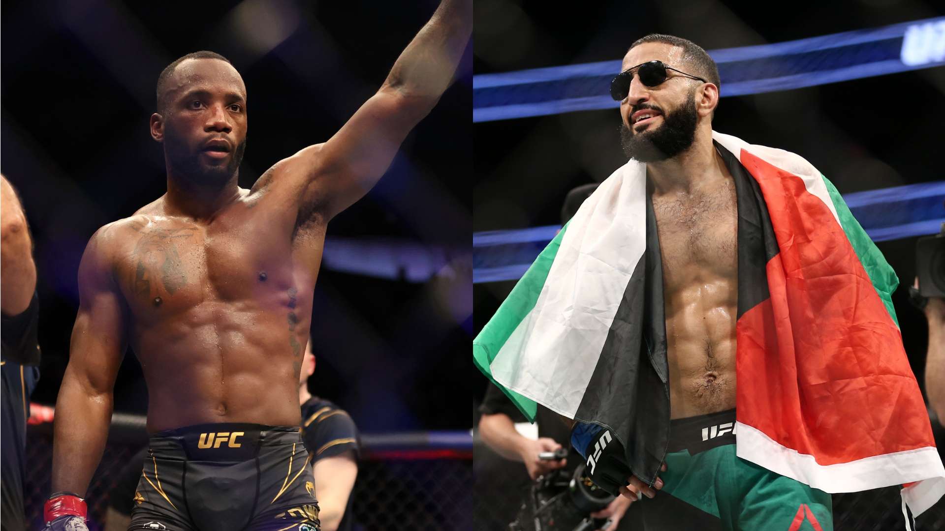 出的顽强斗 出的顽强斗